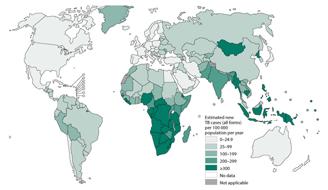 Carte estimation tuberculose