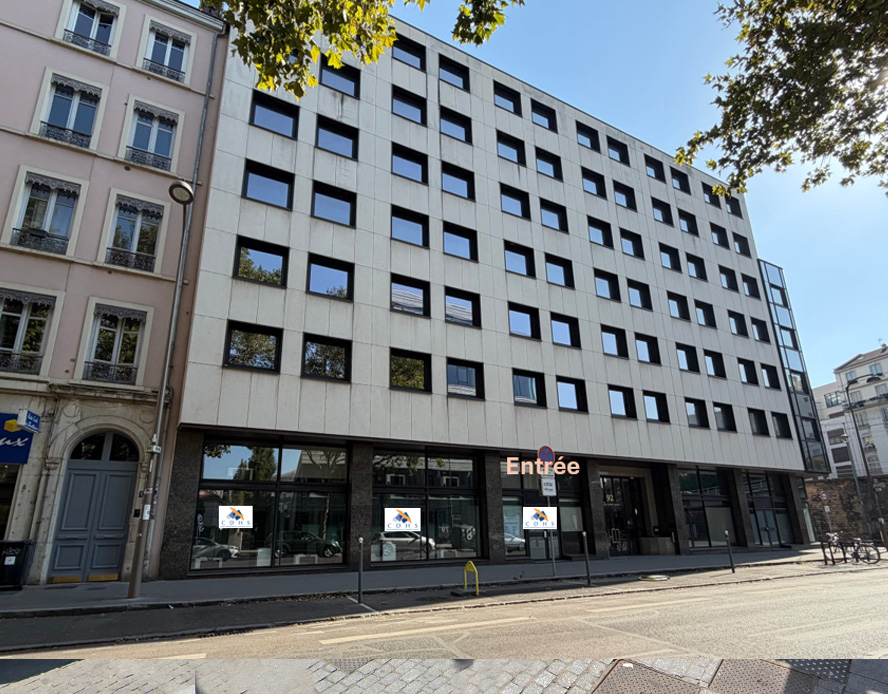 Lyon charpennes